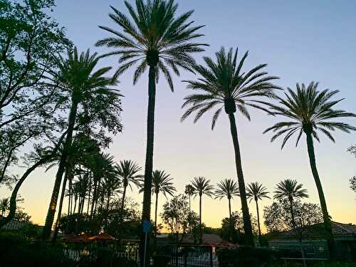 Golden Village Palms RV Resort