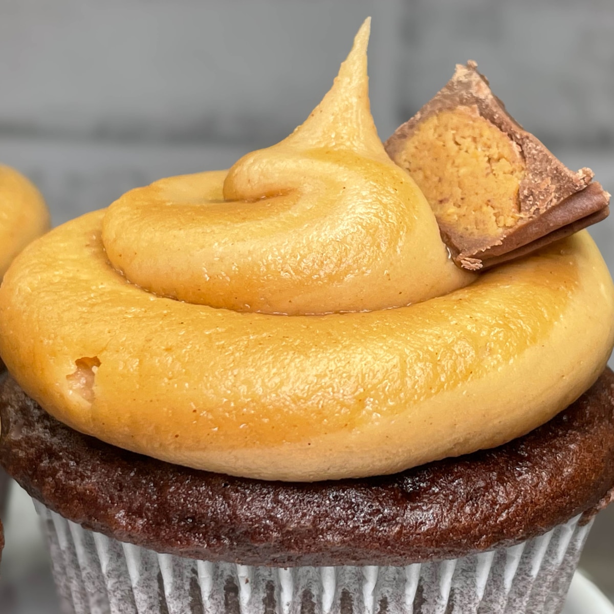 Chocolate Peanut Butter Cupcakes