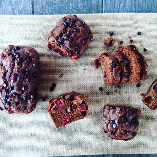 Mini Chocolate Cranberry Pumpkin Loaves