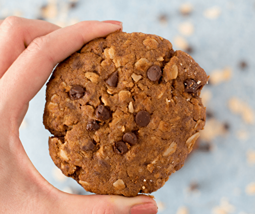 Chocolate Chip Oatmeal Lactation Cookies