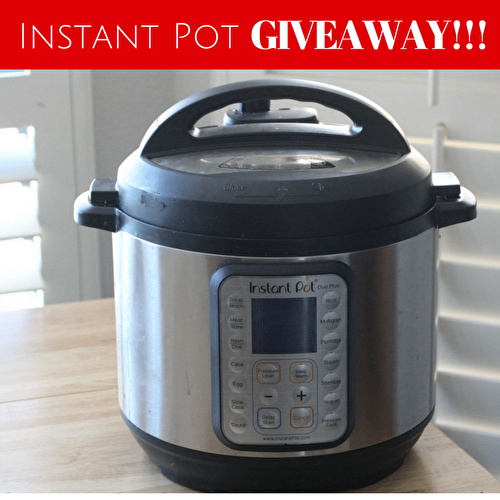 Healthy Instant Pot Recipes Your Family Will Love (Gluten Free) 