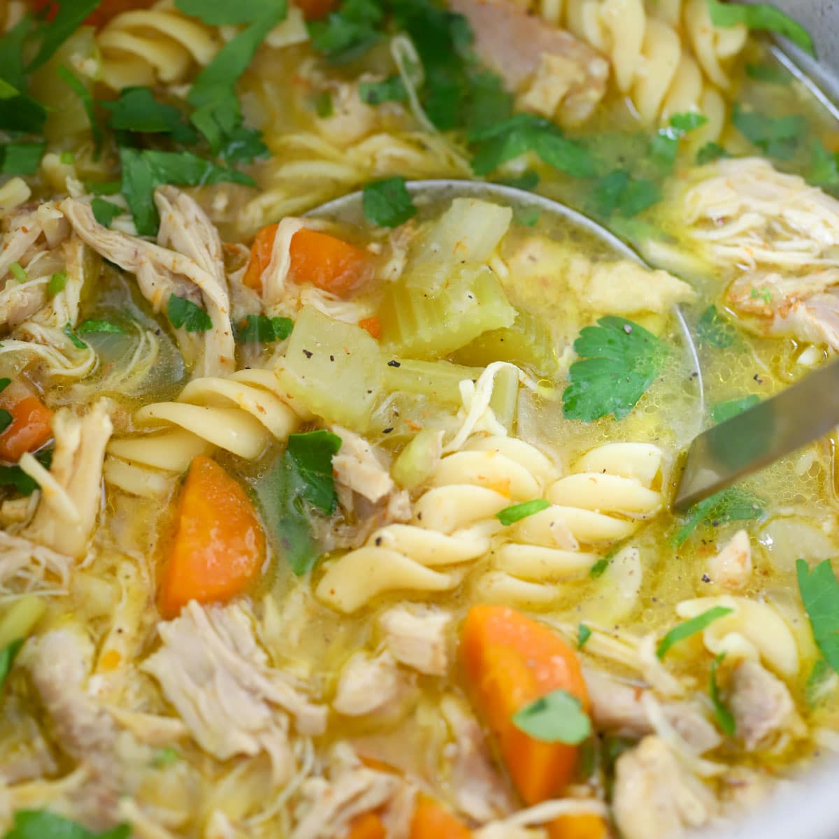 Healthy Chicken Noodle Soup Instant Pot