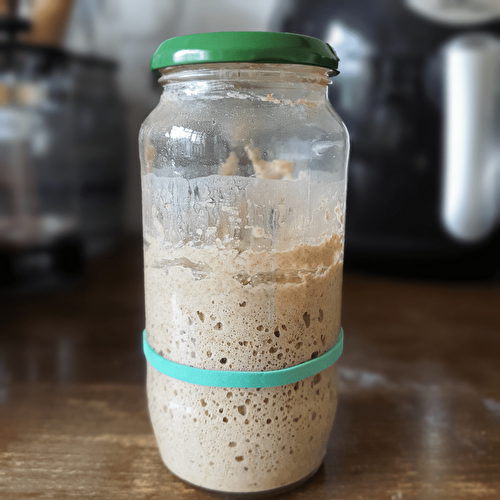 WHOLE RYE SOURDOUGH STARTER - iKarolina