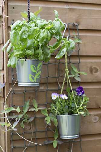 Hanging herb planter