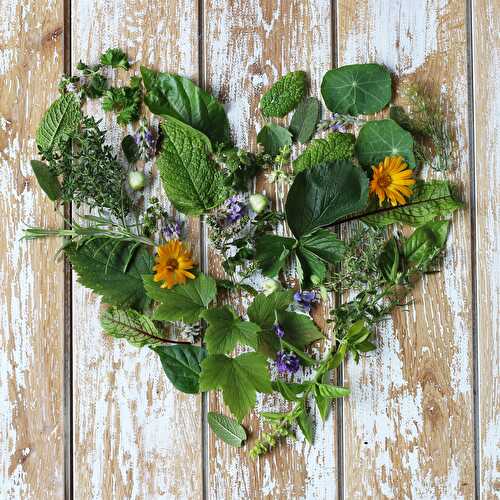 Herb sprigs for the kitchen