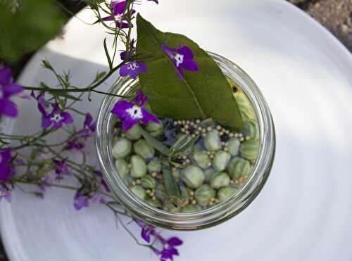 Nasturtium pickles