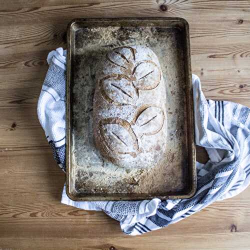 Sourdough for starters (or grow your own pet yeast)