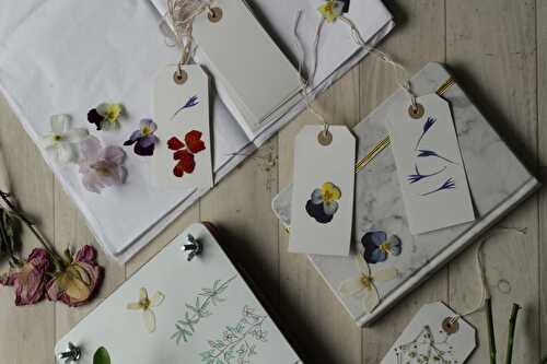 Using a flower press 🌸