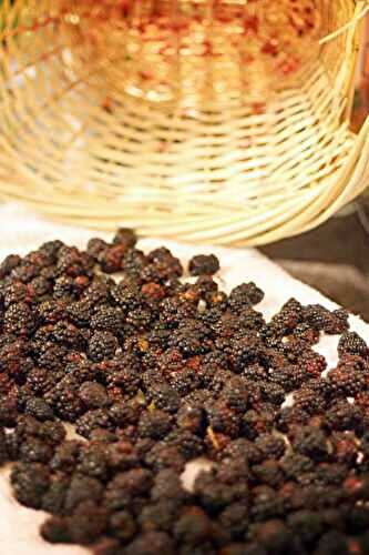 How to Freeze Blackberries