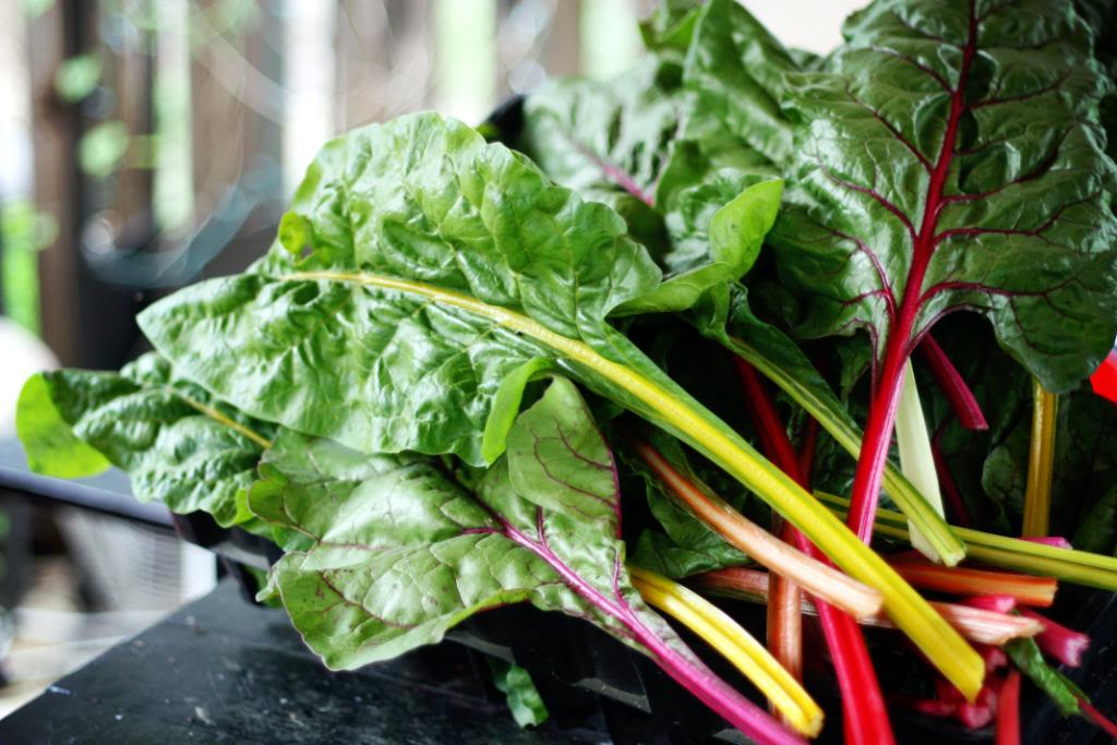 How to Freeze Greens: Collards, Mustard, Spinach, Swiss Chard, Kale