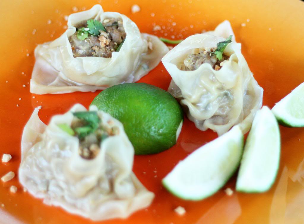 Steamed Thai Dumplings (Kanom Jeeb)