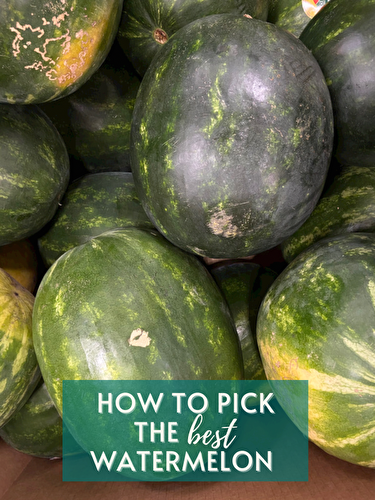 How to Pick the Best Watermelon - Joy to the Food