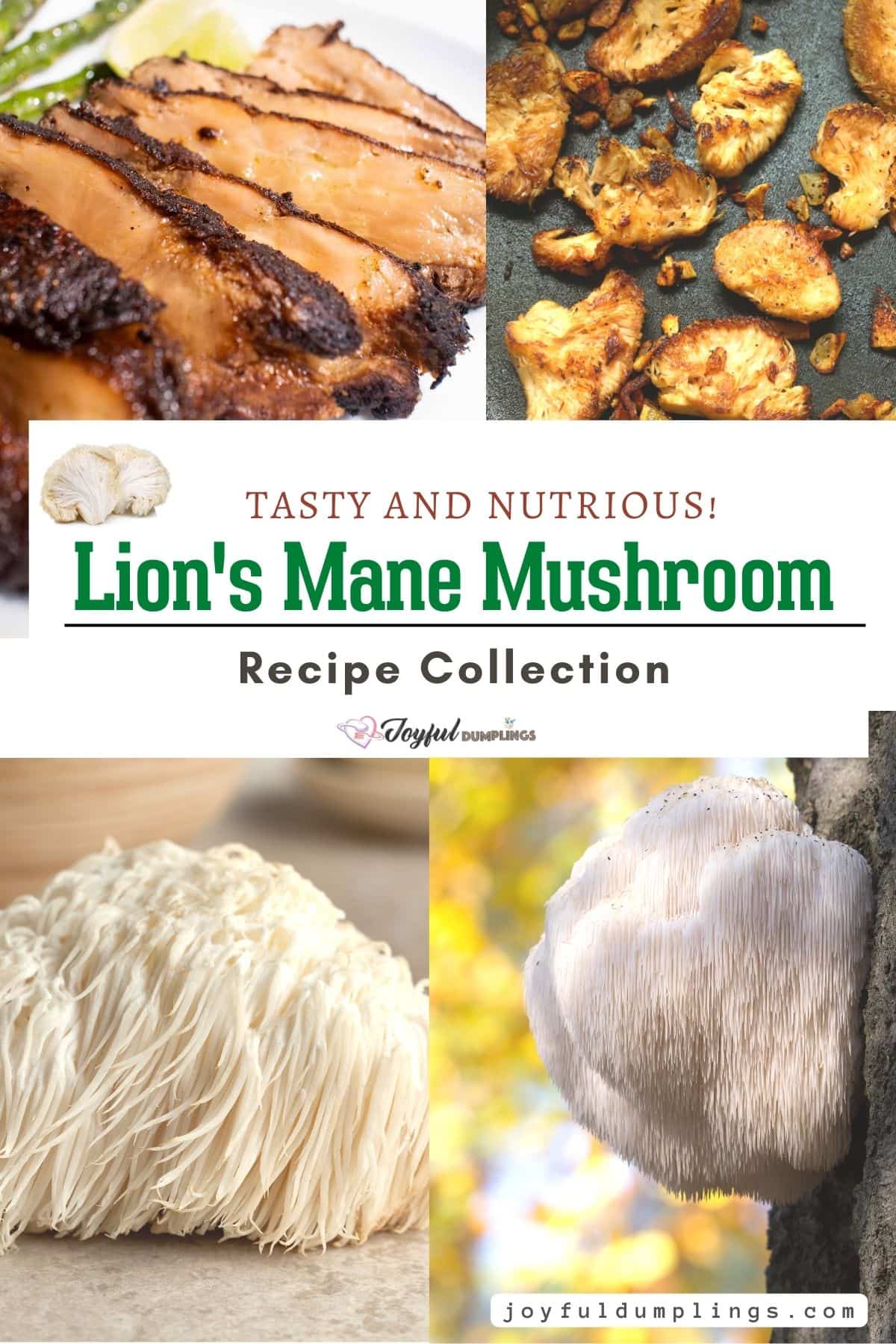16 Best Lions Mane Recipes