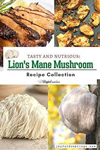 16 Best Lions Mane Recipes