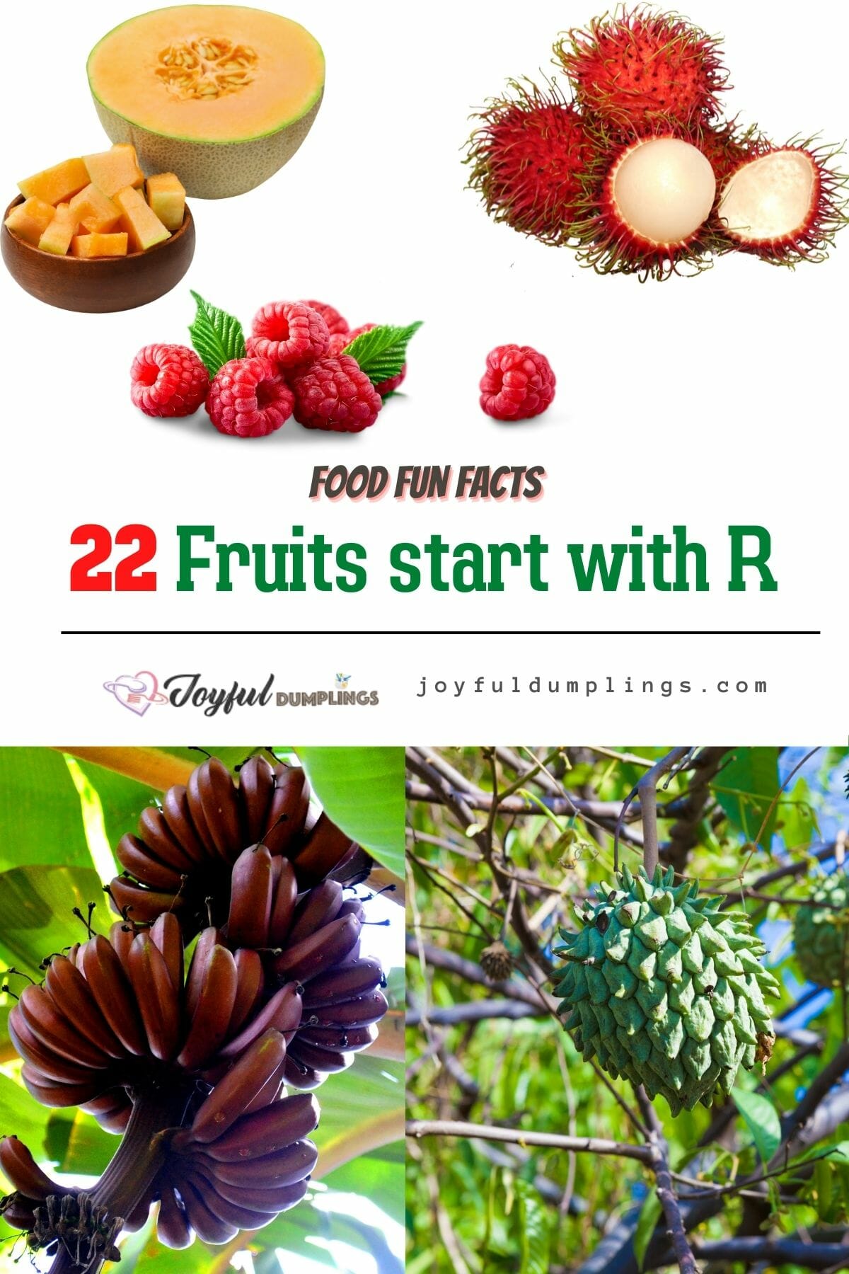 22 Fruits Start with R
