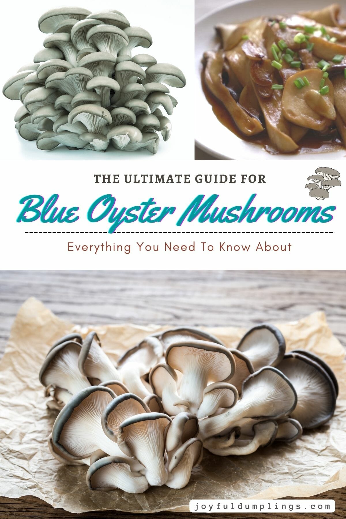 Blue Oyster Mushroom Recipes