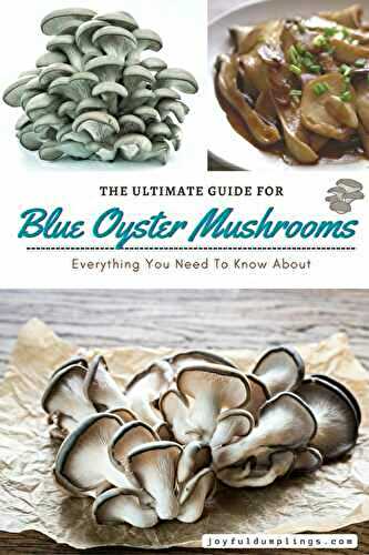 Blue Oyster Mushroom Recipes