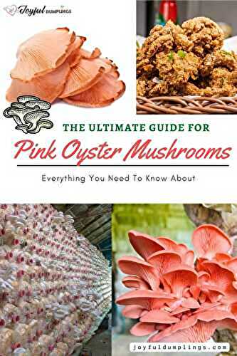 Pink Oyster Mushroom: The Ultimate Guide