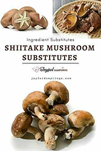 Shiitake Mushroom Substitutes