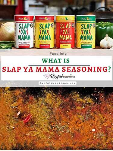 Homemade Slap Ya Mama Seasoning Recipe