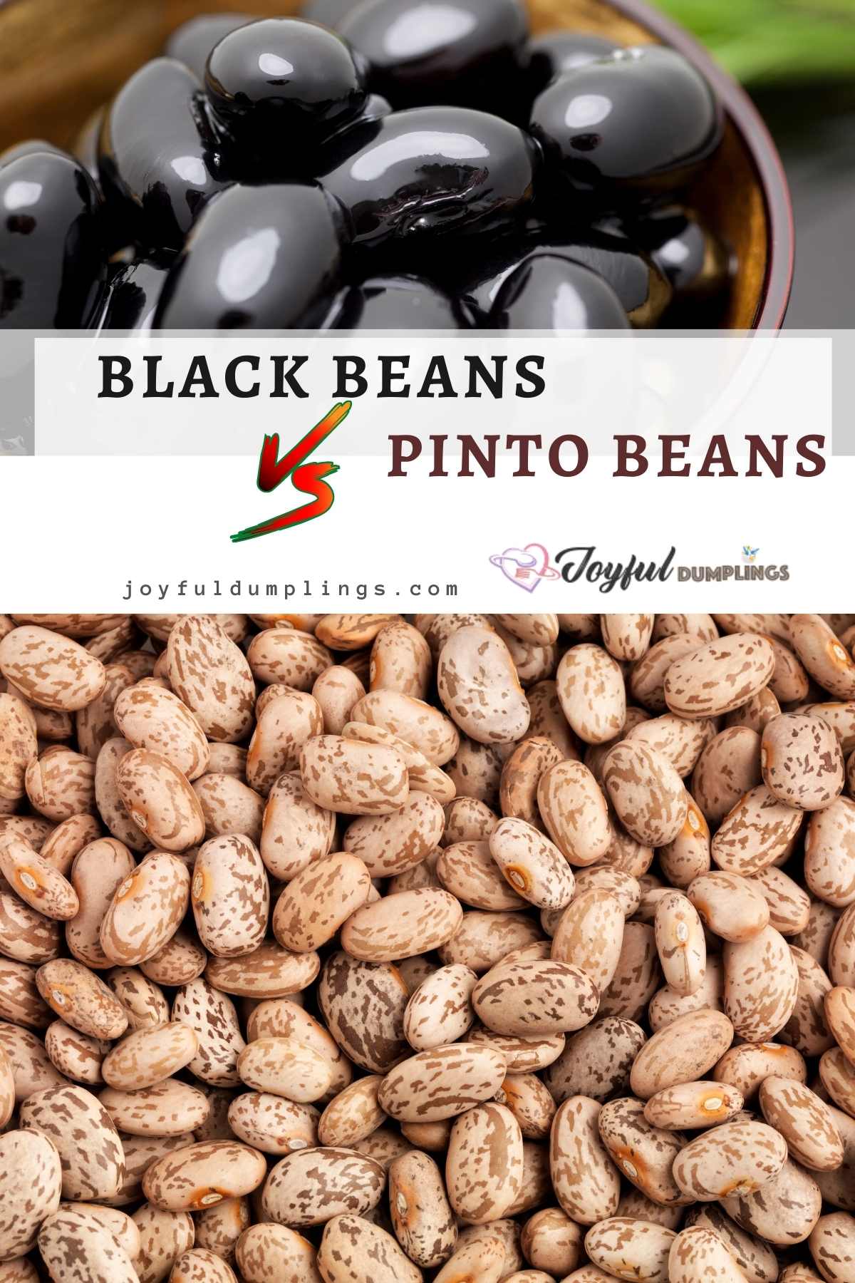 How to cook Black beans and Pinto Beans