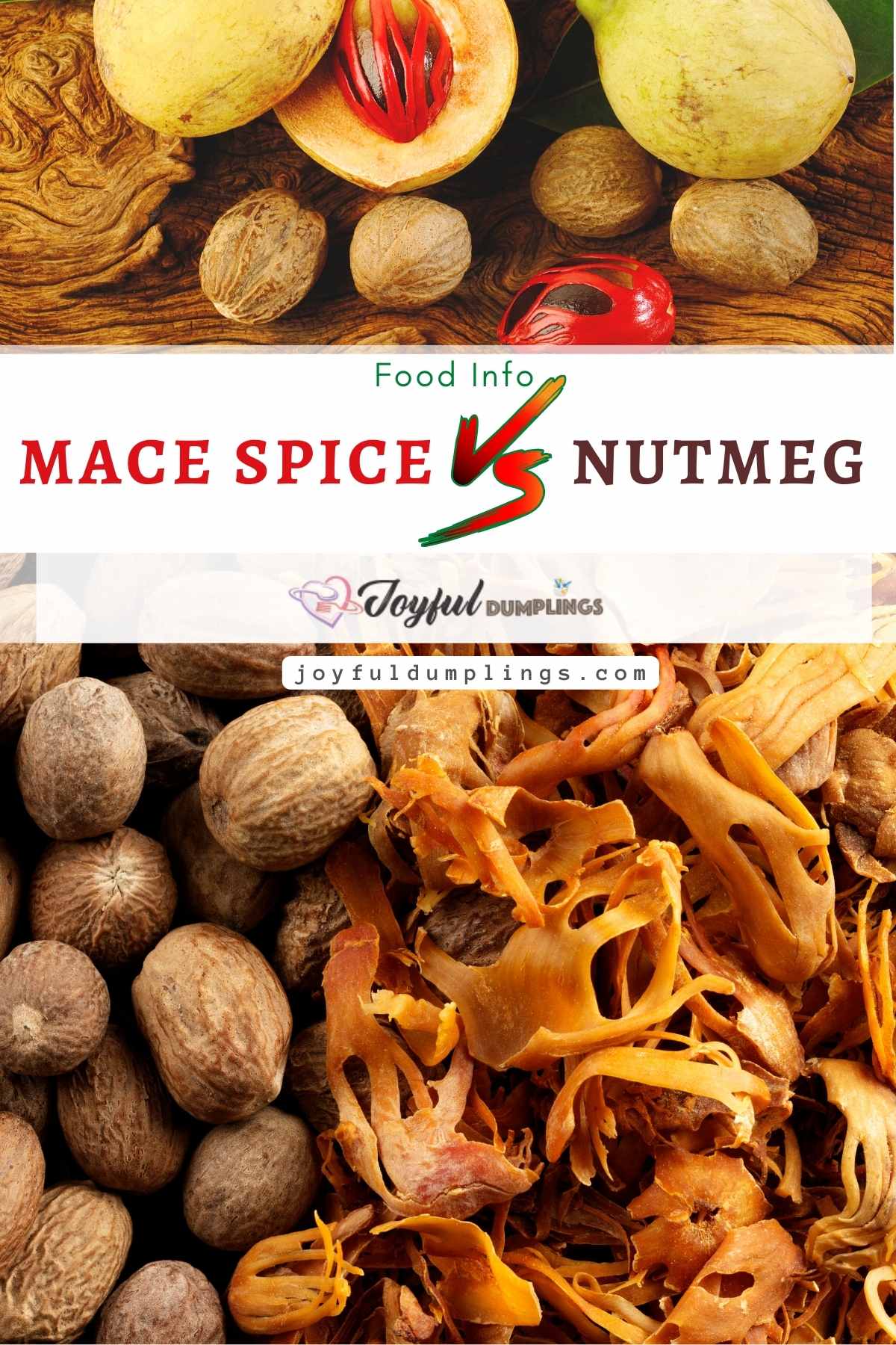 Mace vs Nutmeg – Are Mace Spice and Nutmeg The Same?