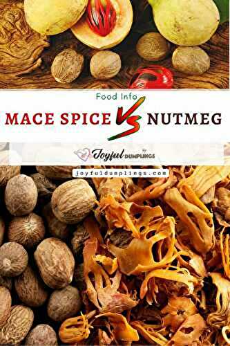 Mace vs Nutmeg – Are Mace Spice and Nutmeg The Same?