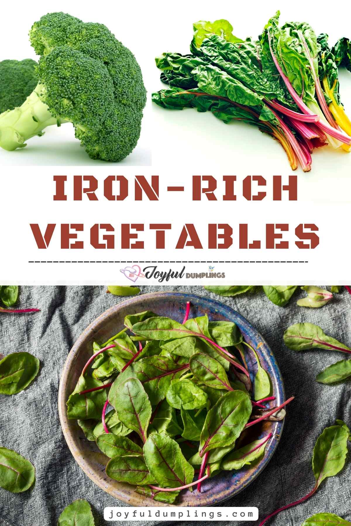 Top 6 Iron Rich Vegetables