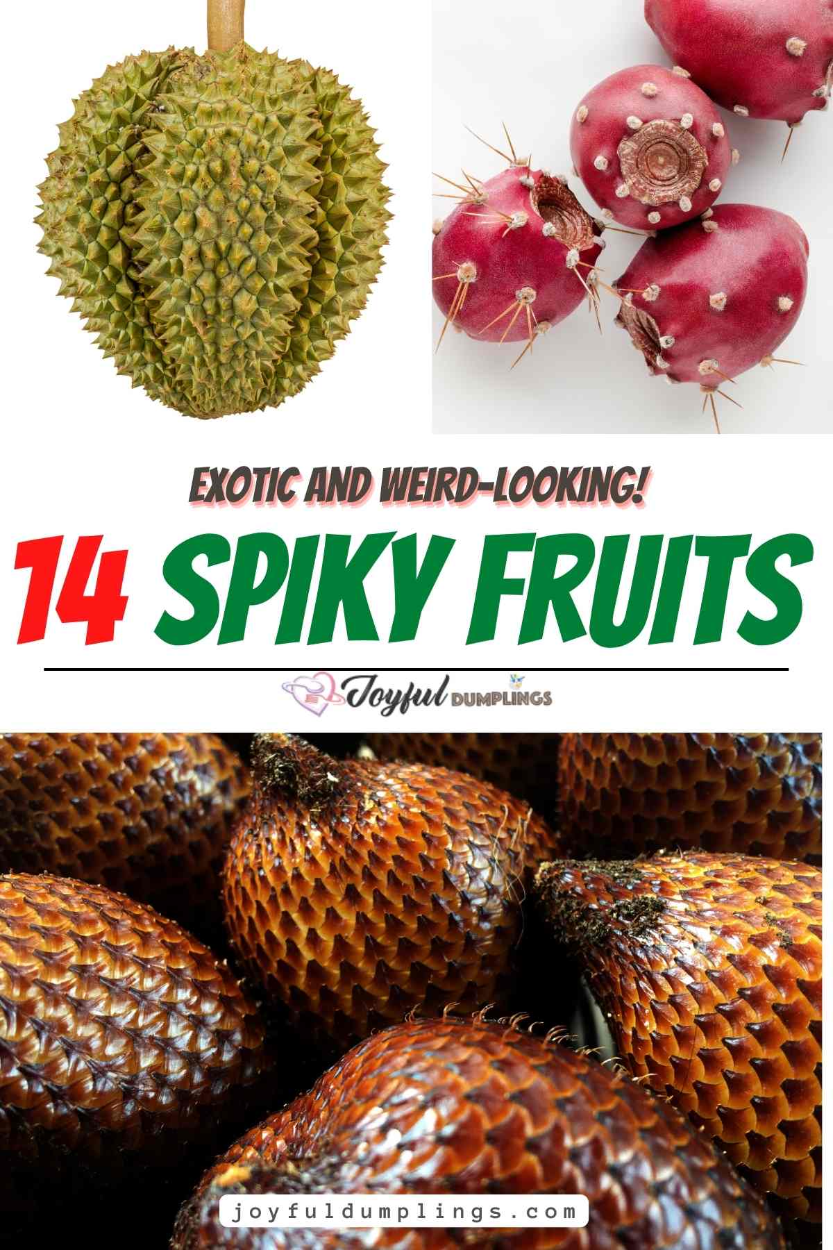 14 Spiky Fruits (Exotic and Weird)
