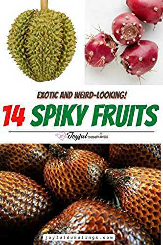 14 Spiky Fruits (Exotic and Weird)