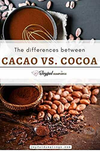 Cacao powder vs Cocoa powder