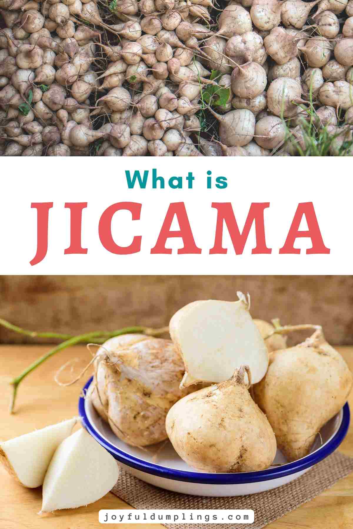 Health Benefits of Jicama: The Crunchy Root Vegetable Everyone Is Talking About! 