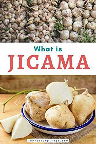 Health Benefits of Jicama: The Crunchy Root Vegetable Everyone Is Talking About!