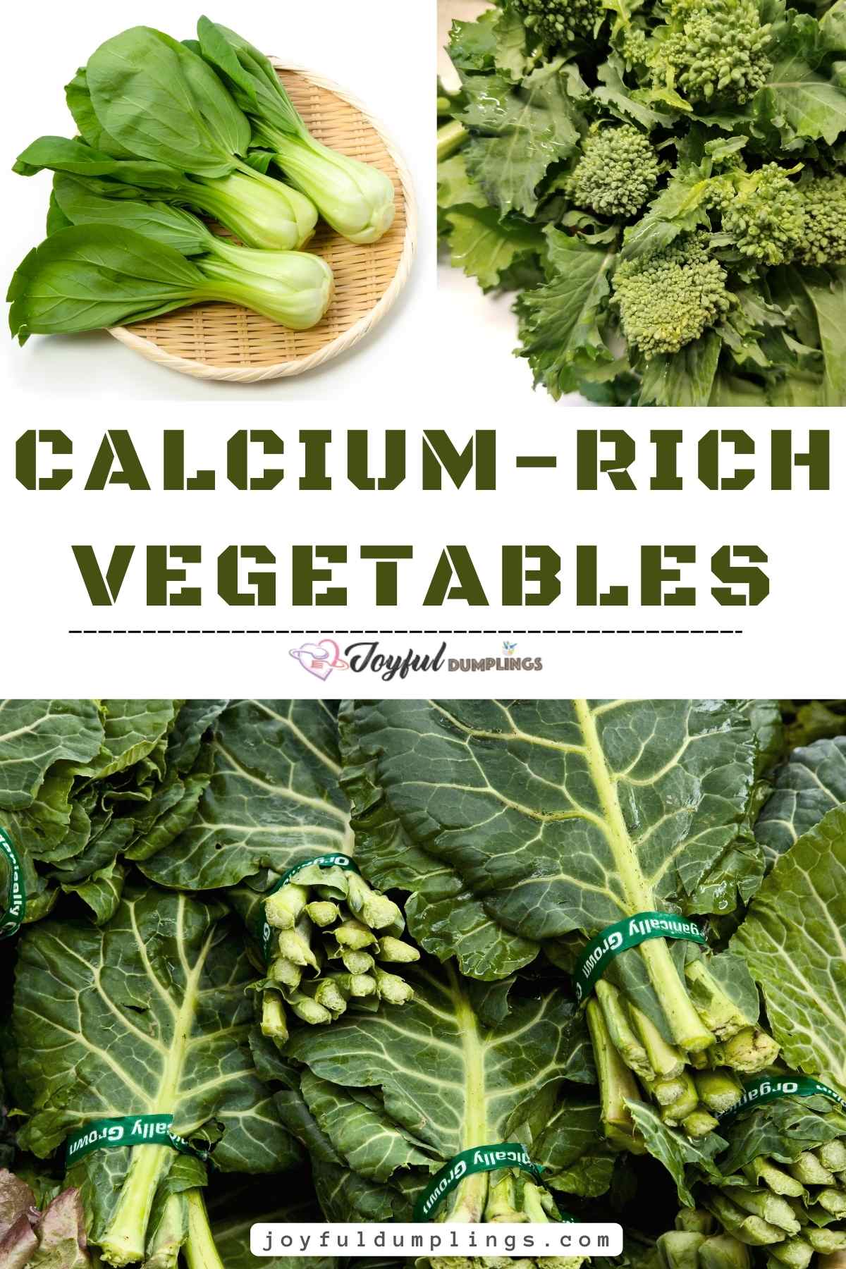 TOP 11 VEGETABLES HIGH IN CALCIUM