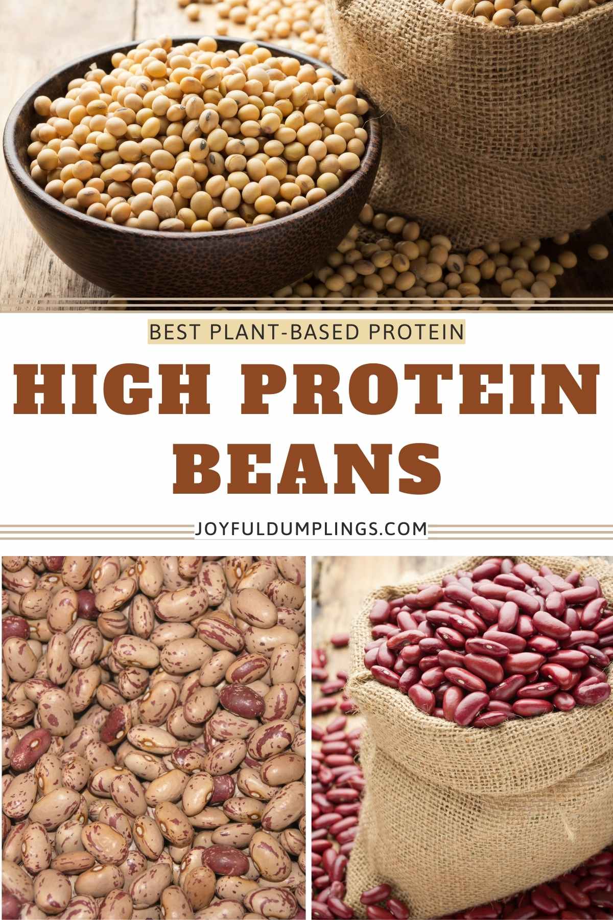 12 High Protein Beans and Legumes