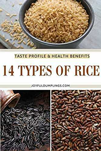 14 TYPES OF RICE
