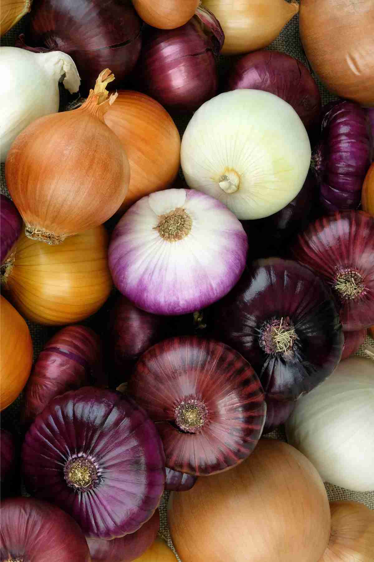 Are Raw Onions Good For You? 8 Health Benefits of Onions