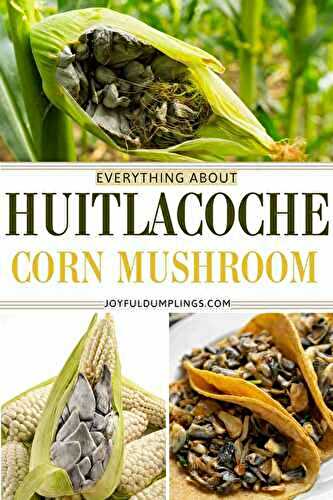 Huitlacoche (Corn Smut) – A Prized Mushroom Delicacy!