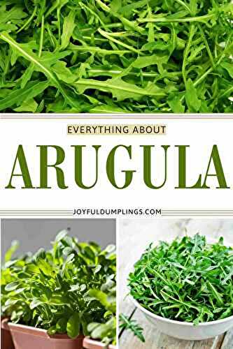 What Is Arugula? Usage, Benefits, Comparison, and More!