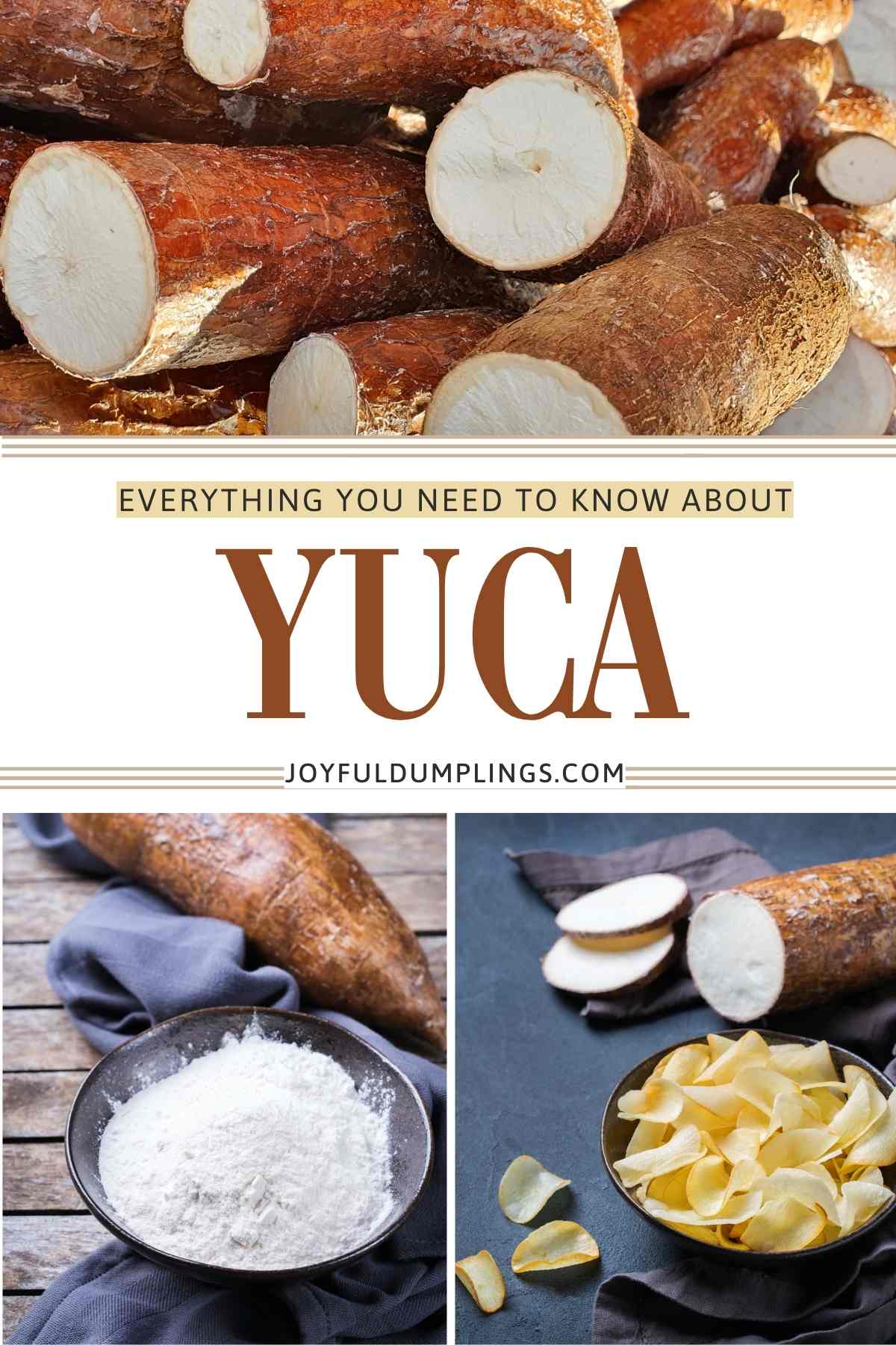 What Is Yuca? Your Questions Answered!