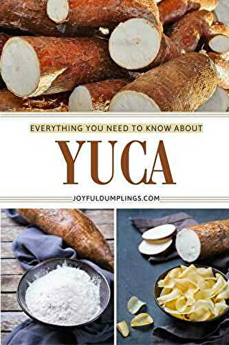 What Is Yuca? Your Questions Answered!