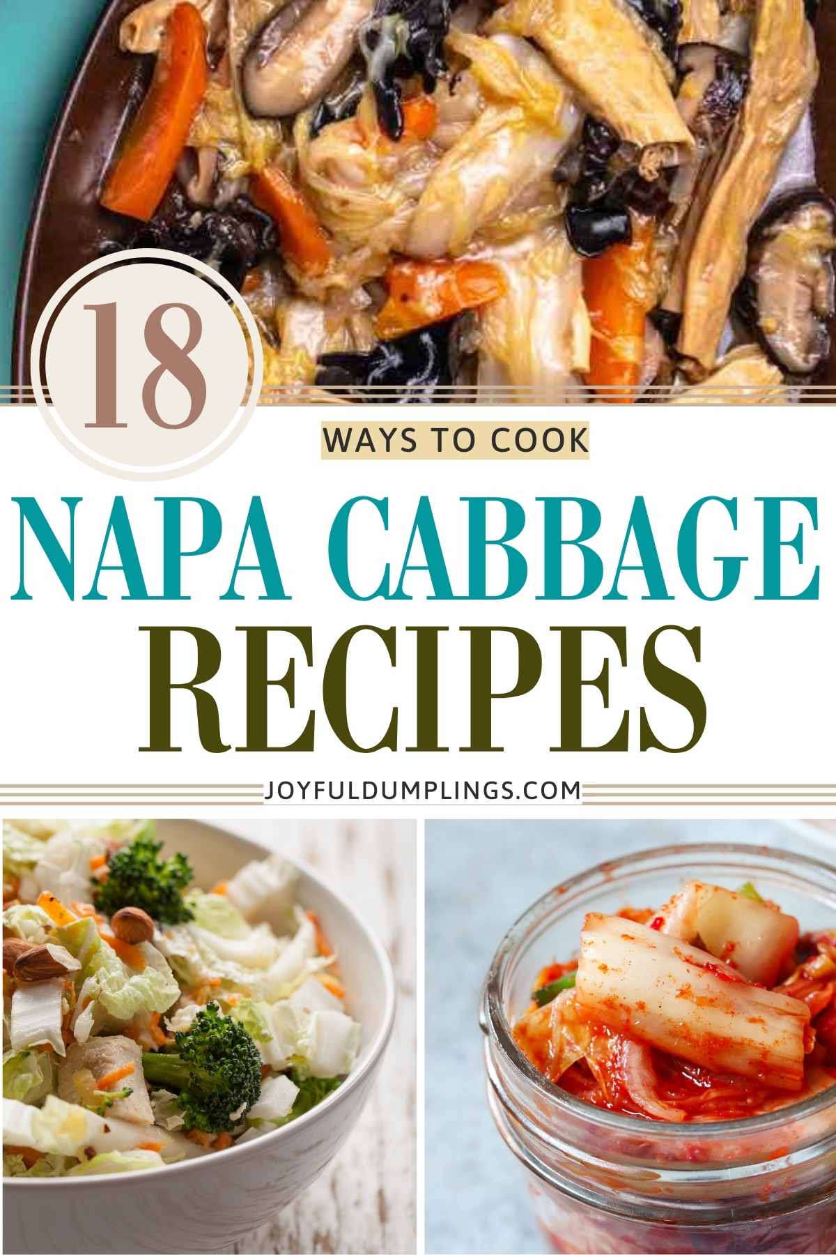 18 Best Napa Cabbage Recipes