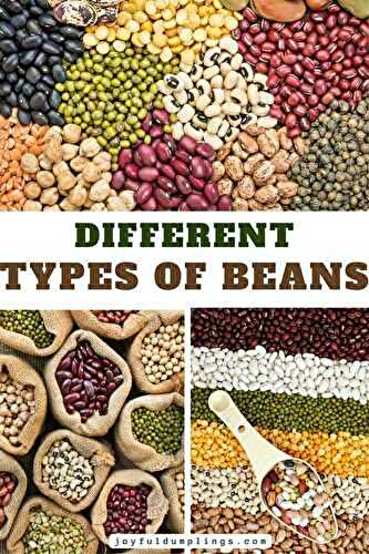 How Many Different Types of Beans In The World Can You Recognize? 