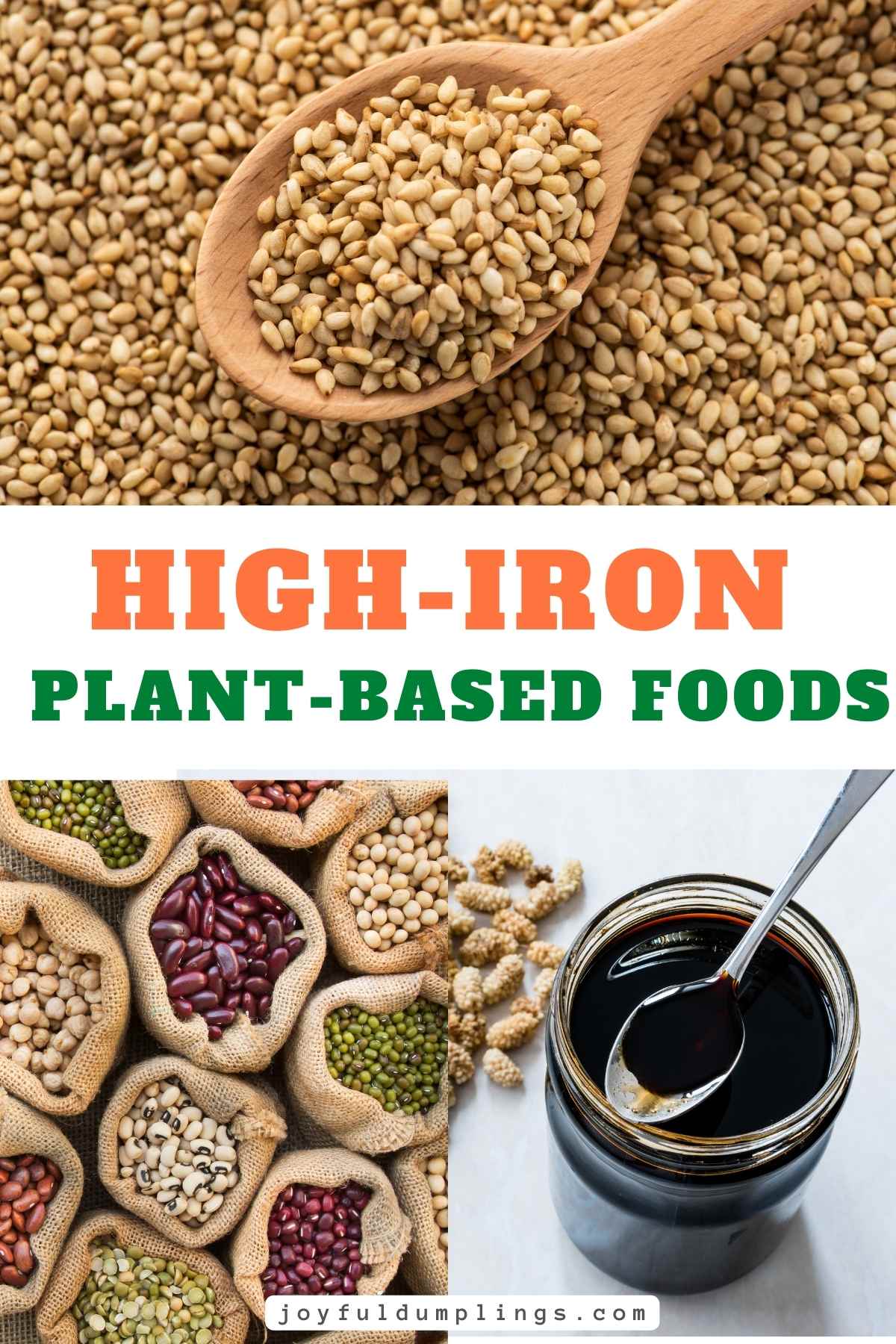 Top 11 Plant-Based Foods High In Iron for Vegans and Vegetarians
