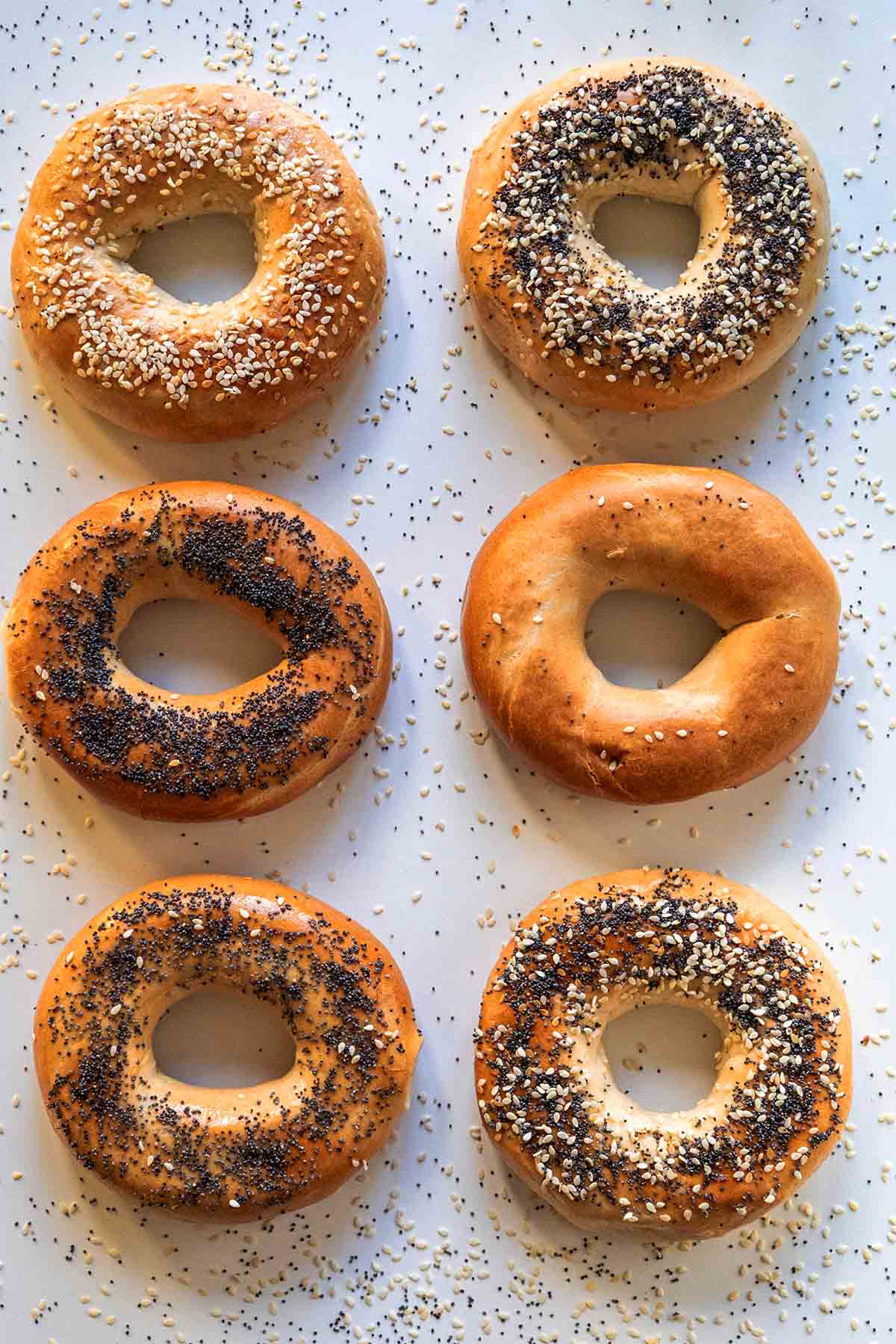 Homemade Bagels Recipe (NY Style!)