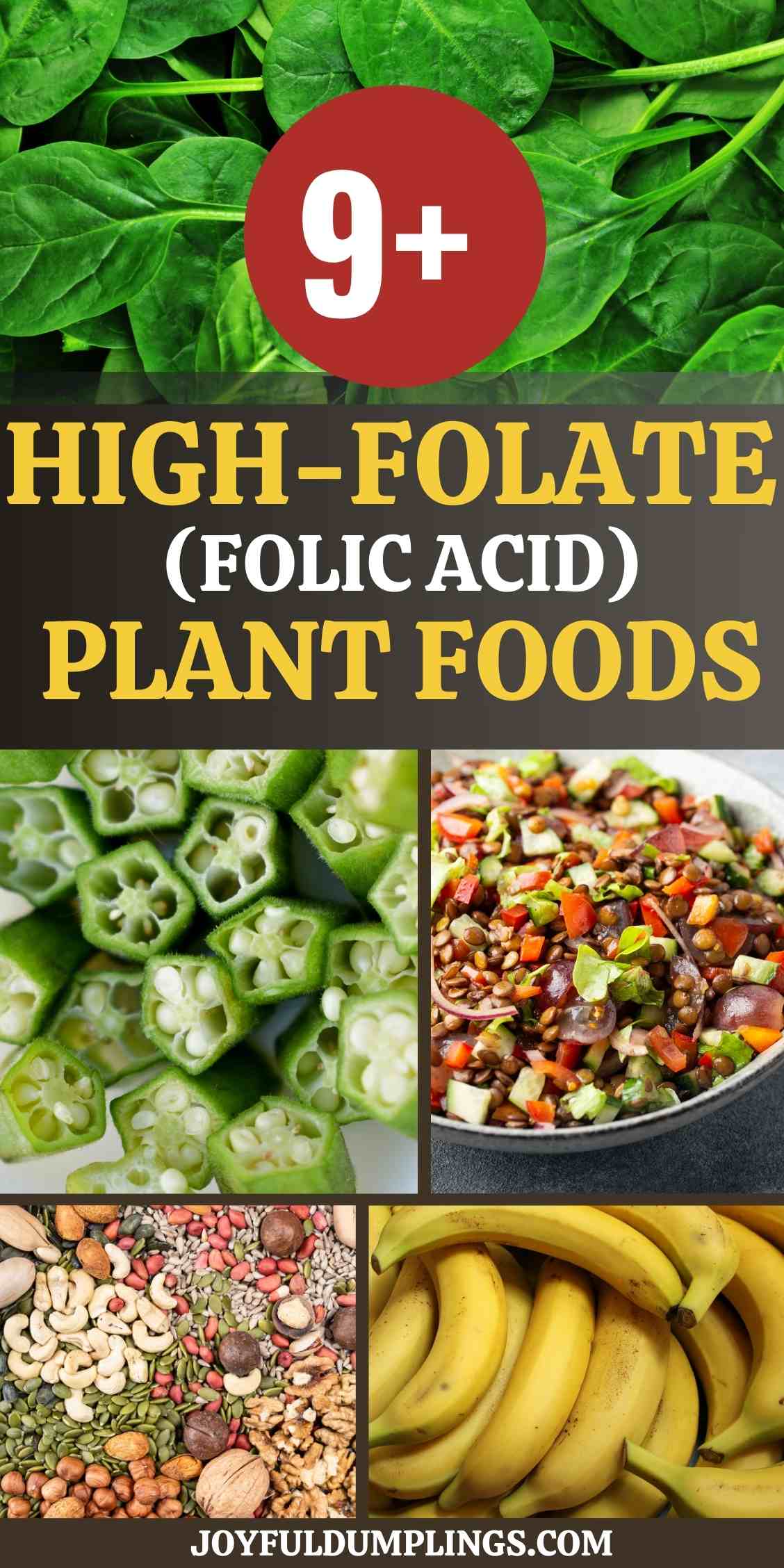 9 Top Vegetables and Other Plant Foods High in Folate (Folic Acid)