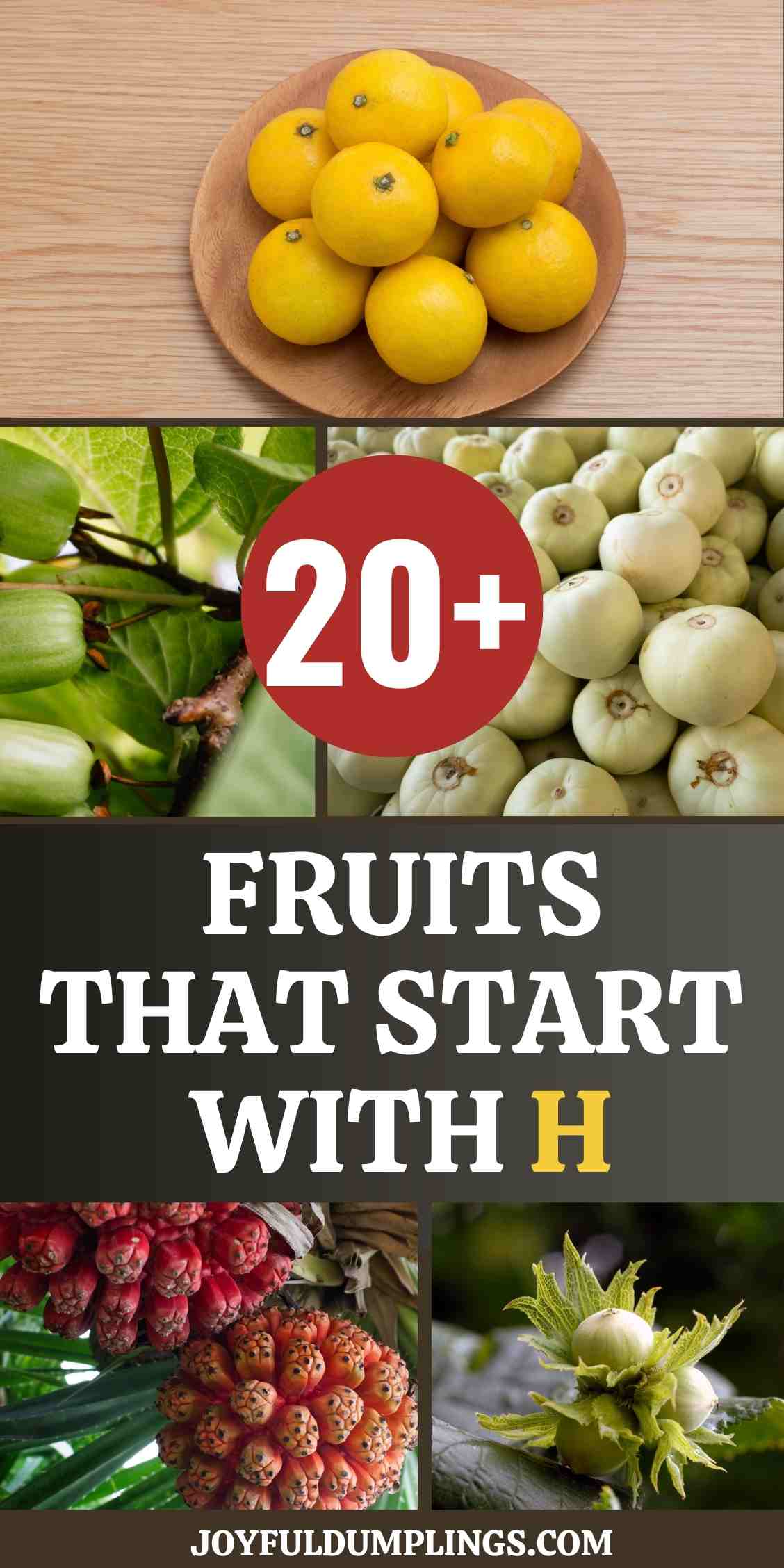 21 Amazing Fruits That Start with H (Find Out With Us Now!)