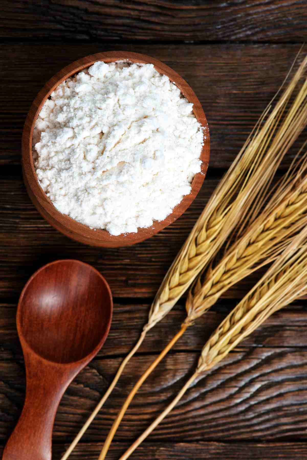 What is Vital Wheat Gluten Flour and Its Connection to Wheat Flour and Starch