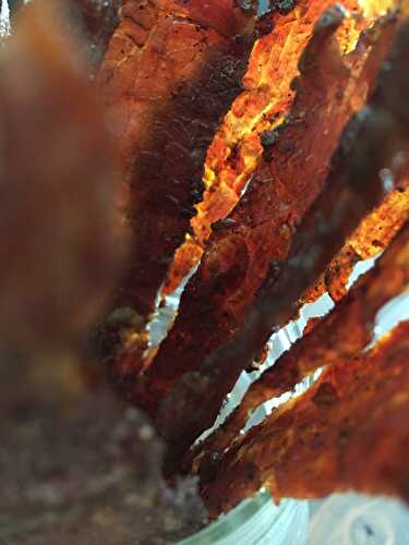 Oven Baked Beef Jerky - Keat's Eats