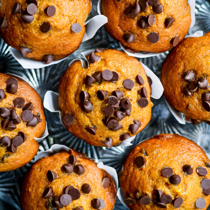 Pumpkin Chocolate Chip Muffins Recipe